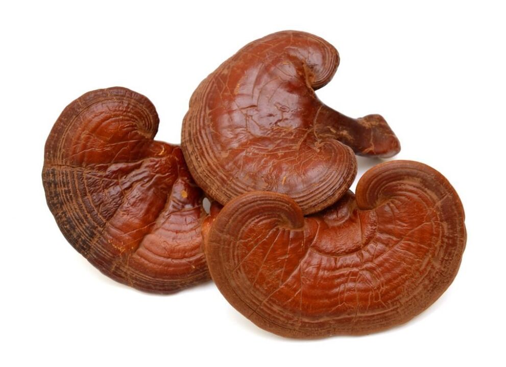 Weiprost obsahuje houby reishi